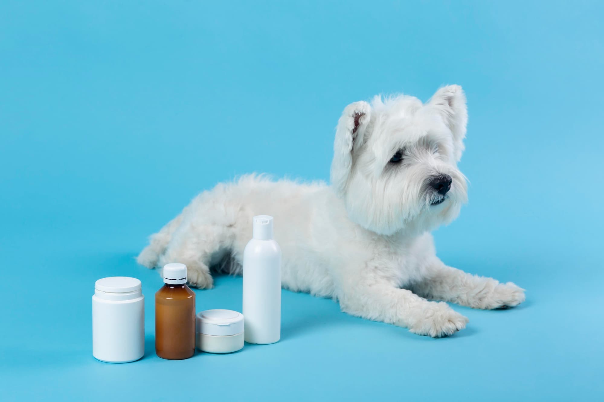 Ursodiol for Dogs